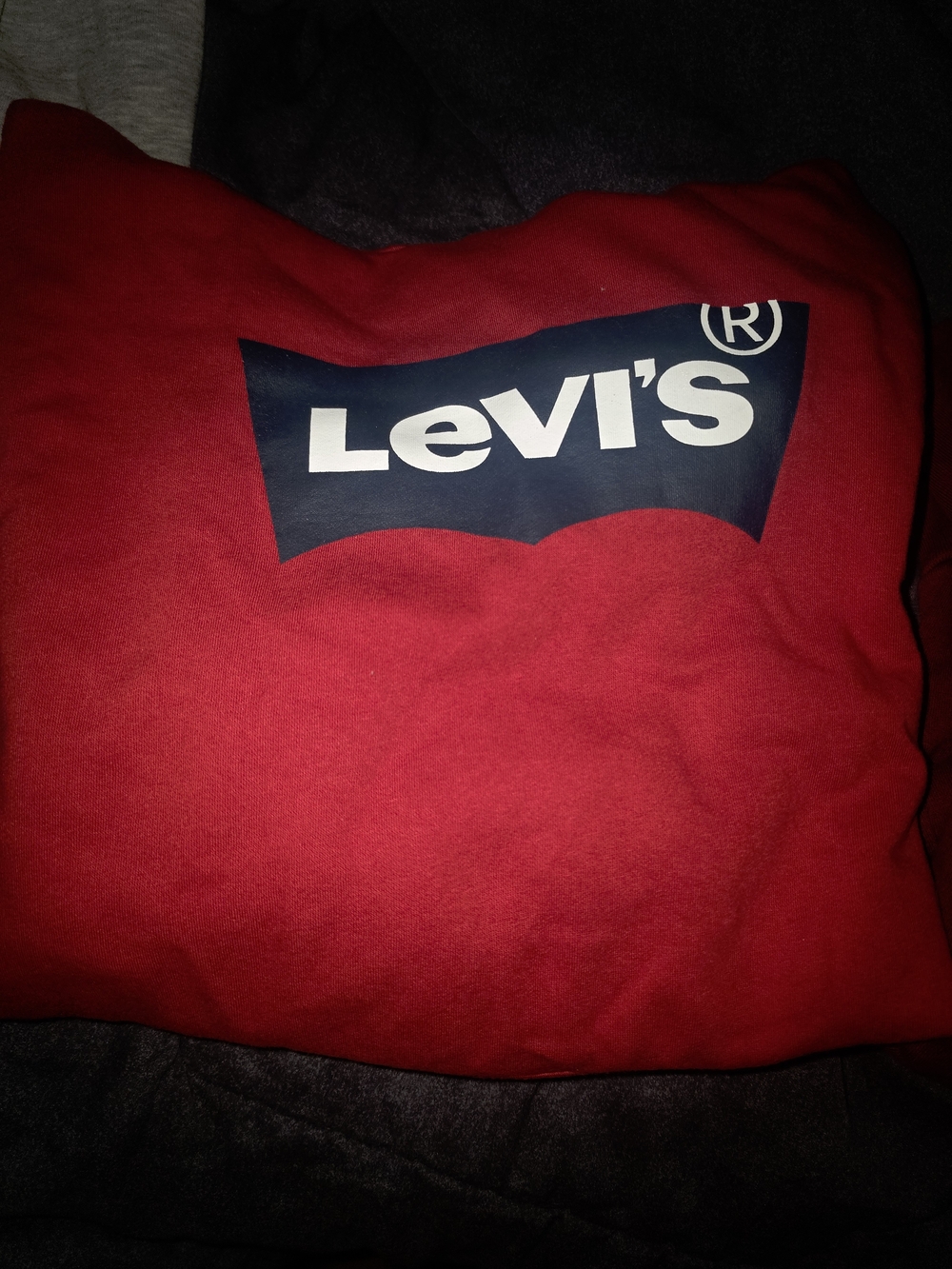 Levi's BOYS Red Logo Sweatshirt